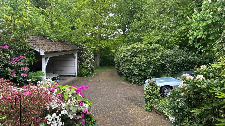 Keine Käufercourtage - Liebevoll gestaltetes Zuhause mit Garten wie ein kleiner Park