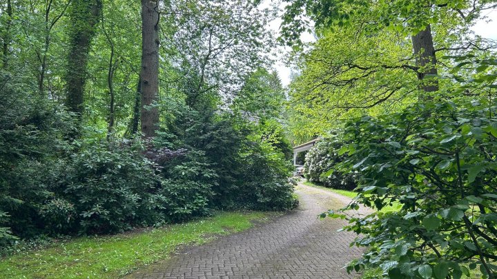 Keine Käufercourtage - Liebevoll gestaltetes Zuhause mit Garten wie ein kleiner Park